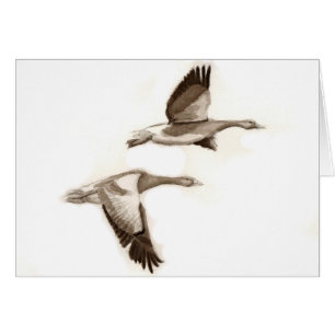 Flying geese drawing