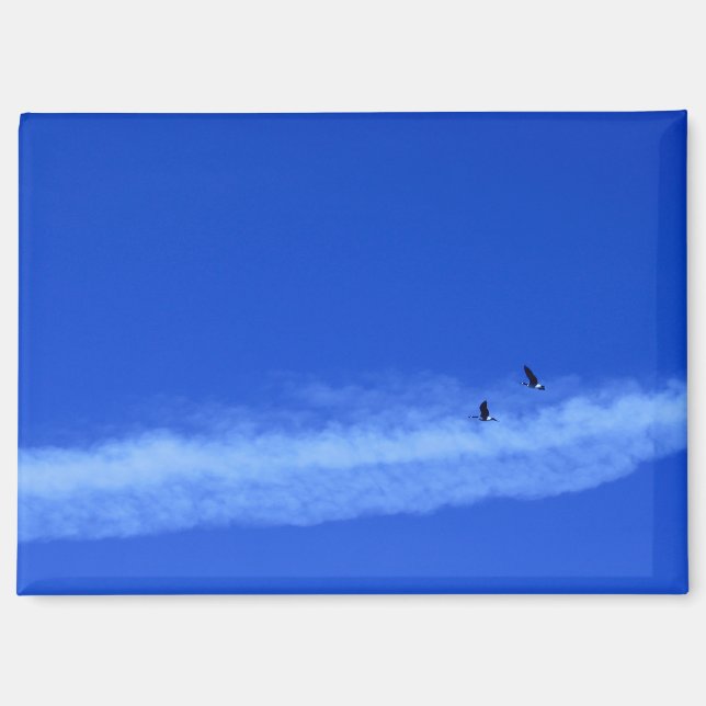 Flying Geese Magnet (Front)