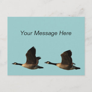 Flying Geese Postcard