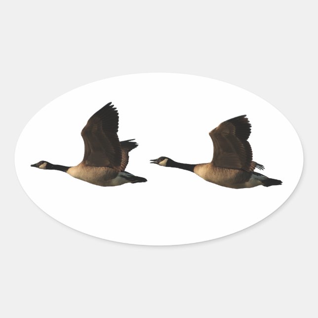 Flying Geese Sticker (Front)