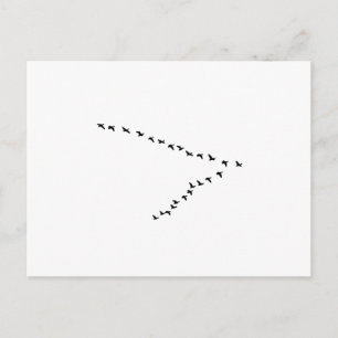 Flying Geese "V" Formation Postcard