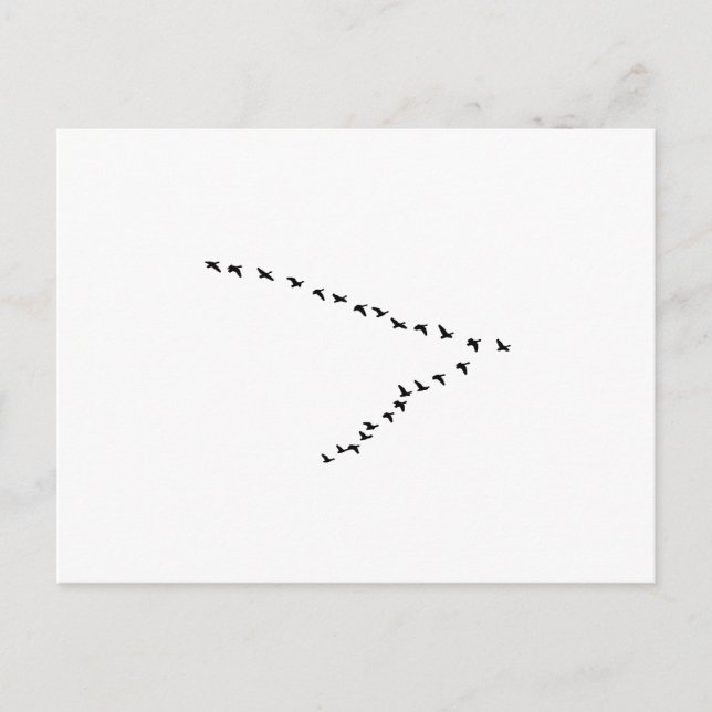 Flying Geese "V" Formation Postcard (Front)