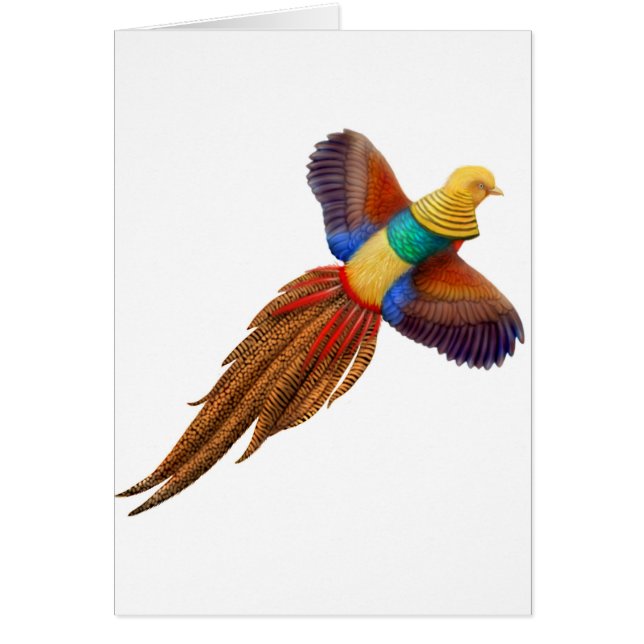 Flying Golden Pheasant Card (Front)