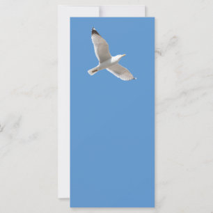 Flying gull