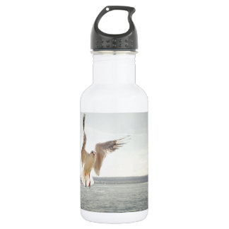 Flying Gull 532 Ml Water Bottle