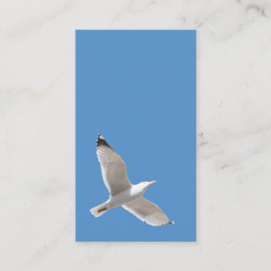 Flying gull business card