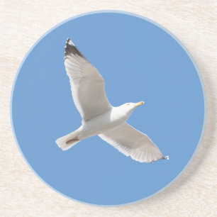 Flying gull coaster