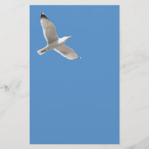 Flying gull flyer