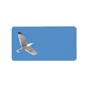 Flying gull label