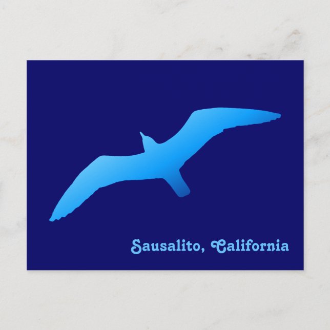 Flying Gull Postcard (Front)