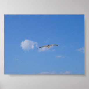 Flying Gull Poster