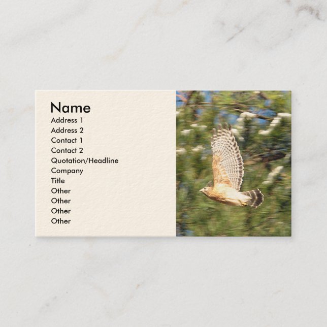 Flying hawk business cards (Front)