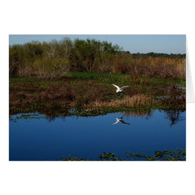 Flying Heron Reflected (Front Horizontal)