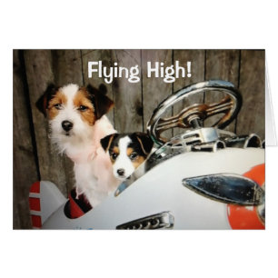 FLYING HIGH DOGS SAY-HEARD U ARE TURNING "40"