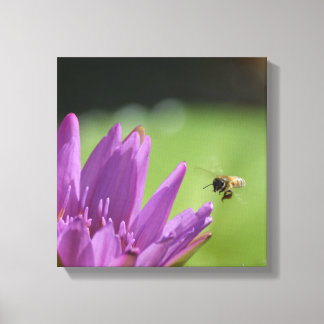 Flying Honey Bee Canvas Print