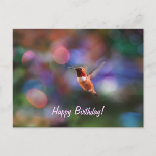 Flying Hummingbird and Colourful Background Postcard