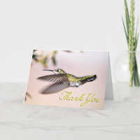 Flying Hummingbird Photo Thank You Note Card
