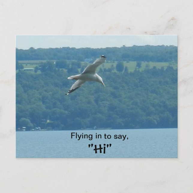 FLYING IN TO SAY "HI" postcard (Front)