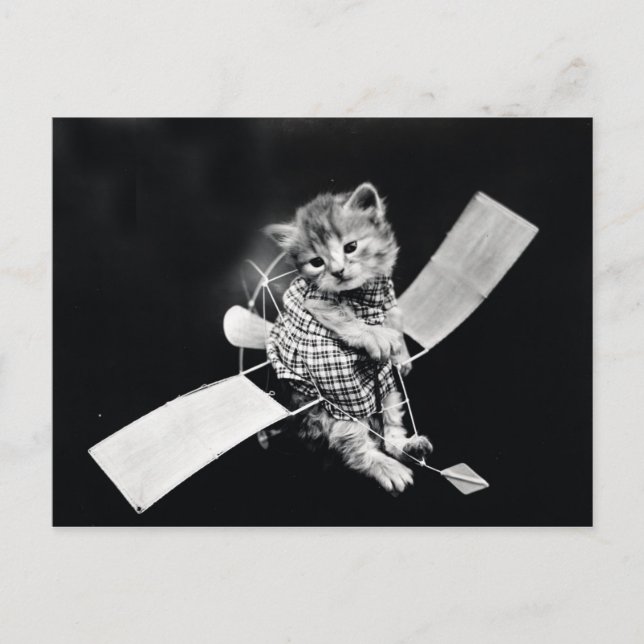 Flying Kitty Vintage Black and White Postcard (Front)