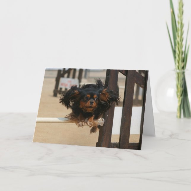 Flying Maia black & Tan Cavalier King Charles Card (Front)
