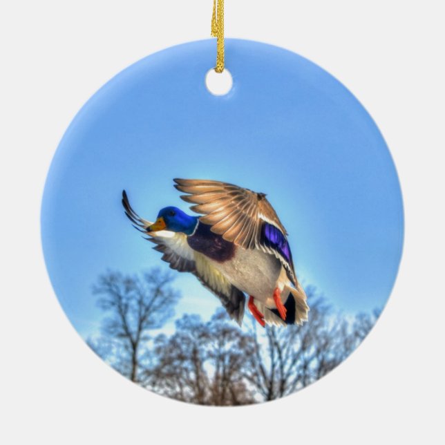 Flying Mallard Duck Drake Wildlife Photo Ceramic Ornament (Back)