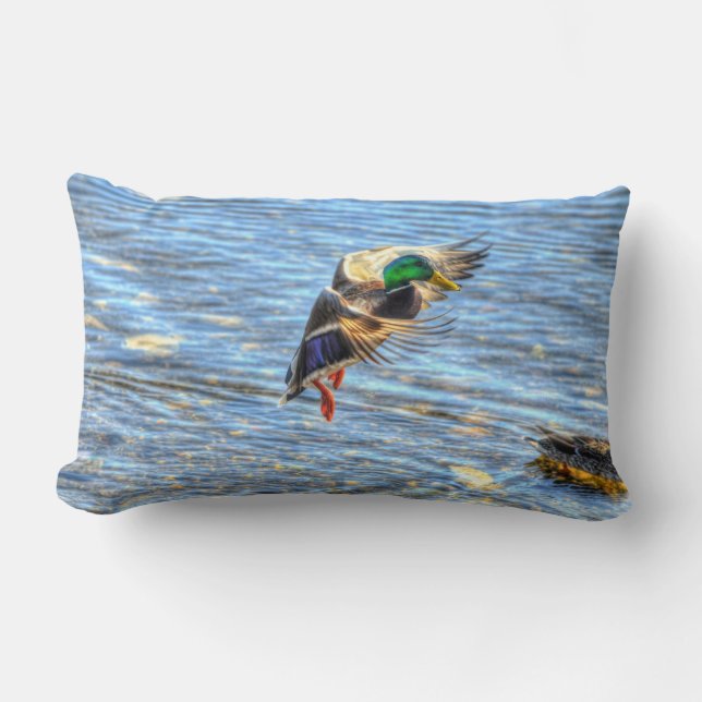 Flying Mallard Duck Drake Wildlife Photo Lumbar Pillow (Front)