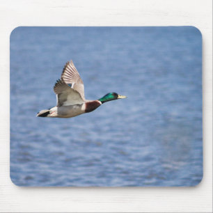 Flying Mallard Mouse Pad