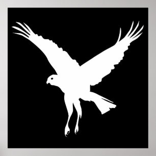 Flying marsh harrier poster