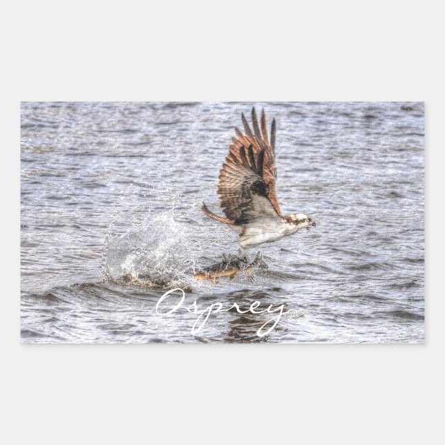 Flying Osprey & Fish HDR Wildlife Photo Gift Sticker (Front)