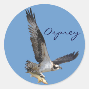 Flying Osprey & Fish Wildlife Photography Classic Round Sticker