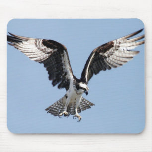 Flying Osprey Mouse Pad