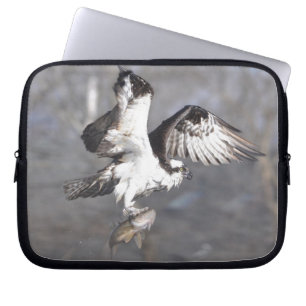 Flying Osprey Raptor Wildlife Sleeve