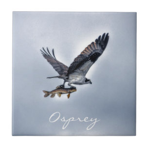 Flying Osprey with Walleye Fish HDR Photo Tile