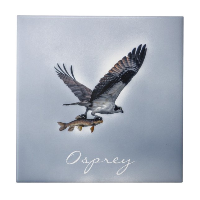Flying Osprey with Walleye Fish HDR Photo Tile (Front)
