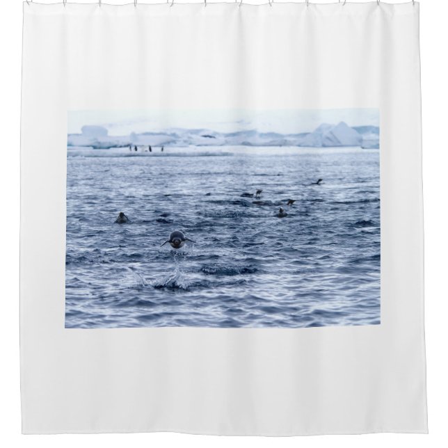 Flying penguin (Front)