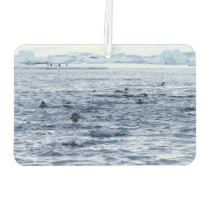 Flying penguin air freshener
