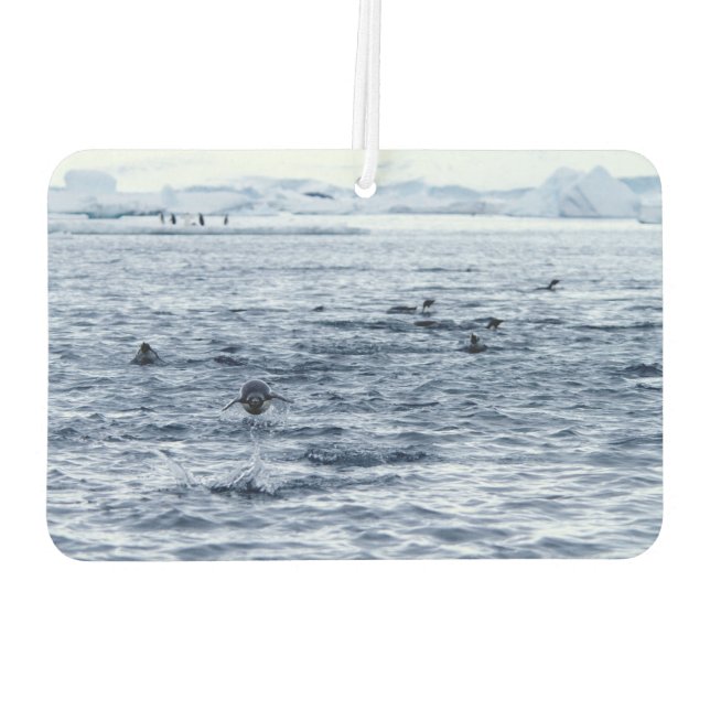 Flying penguin air freshener (Back)