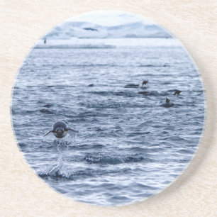 Flying penguin coaster