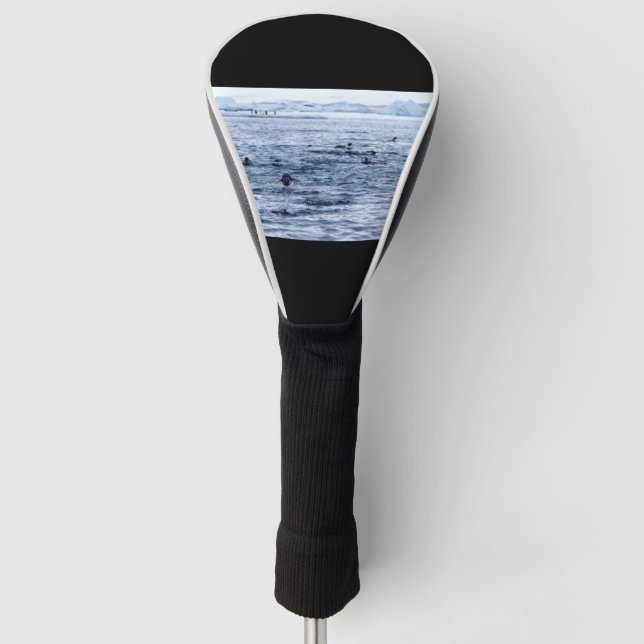 Flying penguin golf head cover (Front)