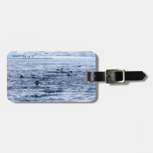 Flying penguin luggage tag