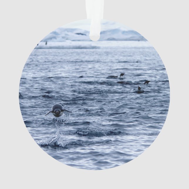 Flying penguin ornament (Back)