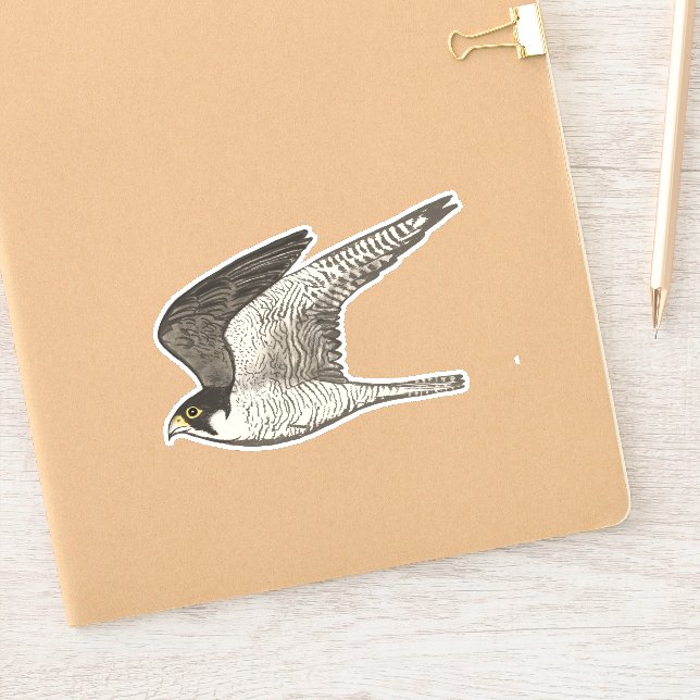Flying Peregrine Falcon Coloured Pencil Art (Notebook)