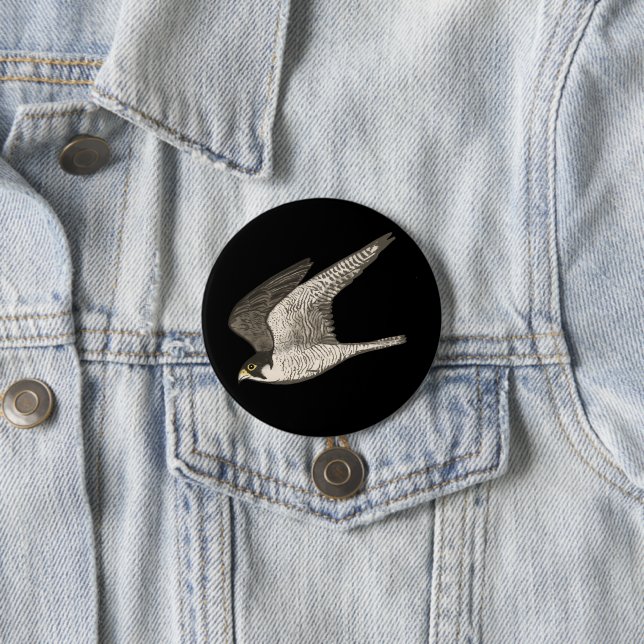 Flying Peregrine Falcon Coloured Pencil Art 3 Inch Round Button (In Situ)