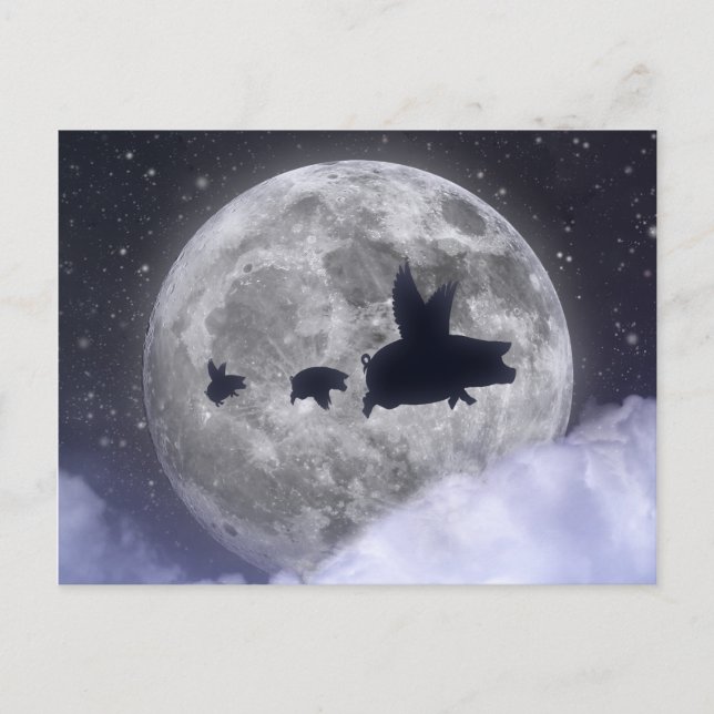 Flying Pig Family-Flying Piglets Postcard (Front)