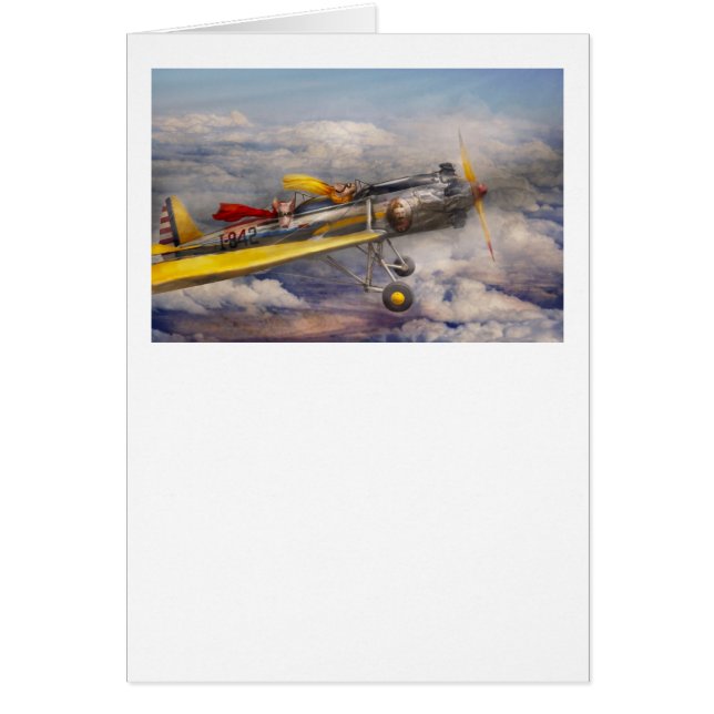 Flying Pig - Plane -The joy ride (Front)