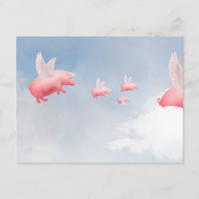 Flying Pig Postcard (Front)