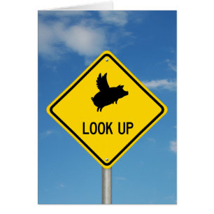 Flying Pig Sign