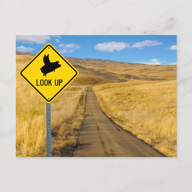 Flying Pig Sign Postcard (Front)