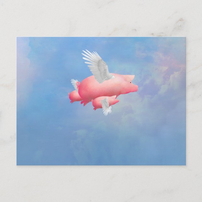 Flying Piglets Postcard (Front)