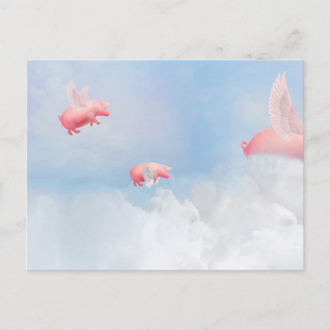 Flying Pigs Postcard (Front)